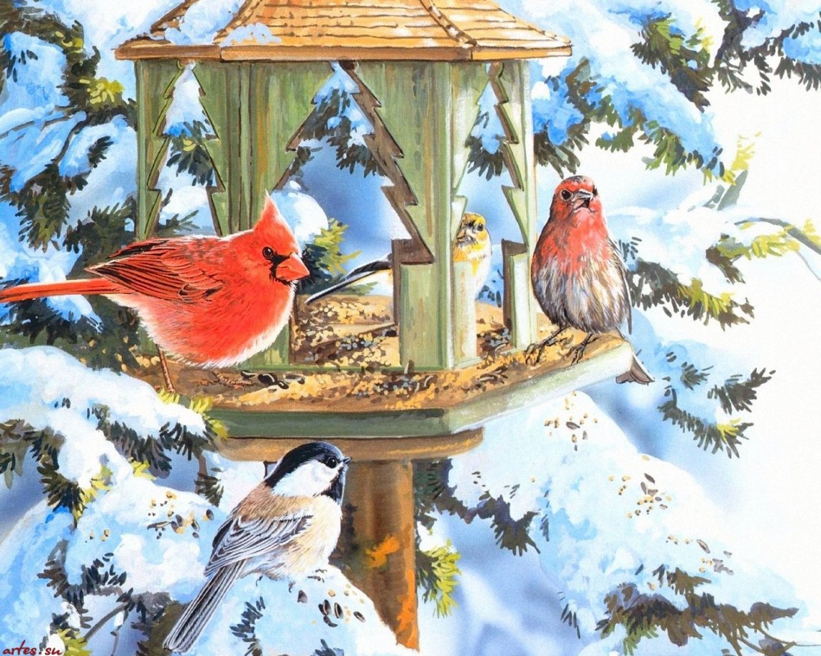 Внеклассное мероприятие В гостях у зимующих птиц