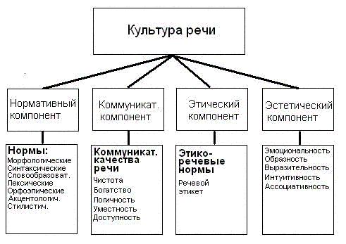Учебное пособие Русский язык для студентов 1 курса