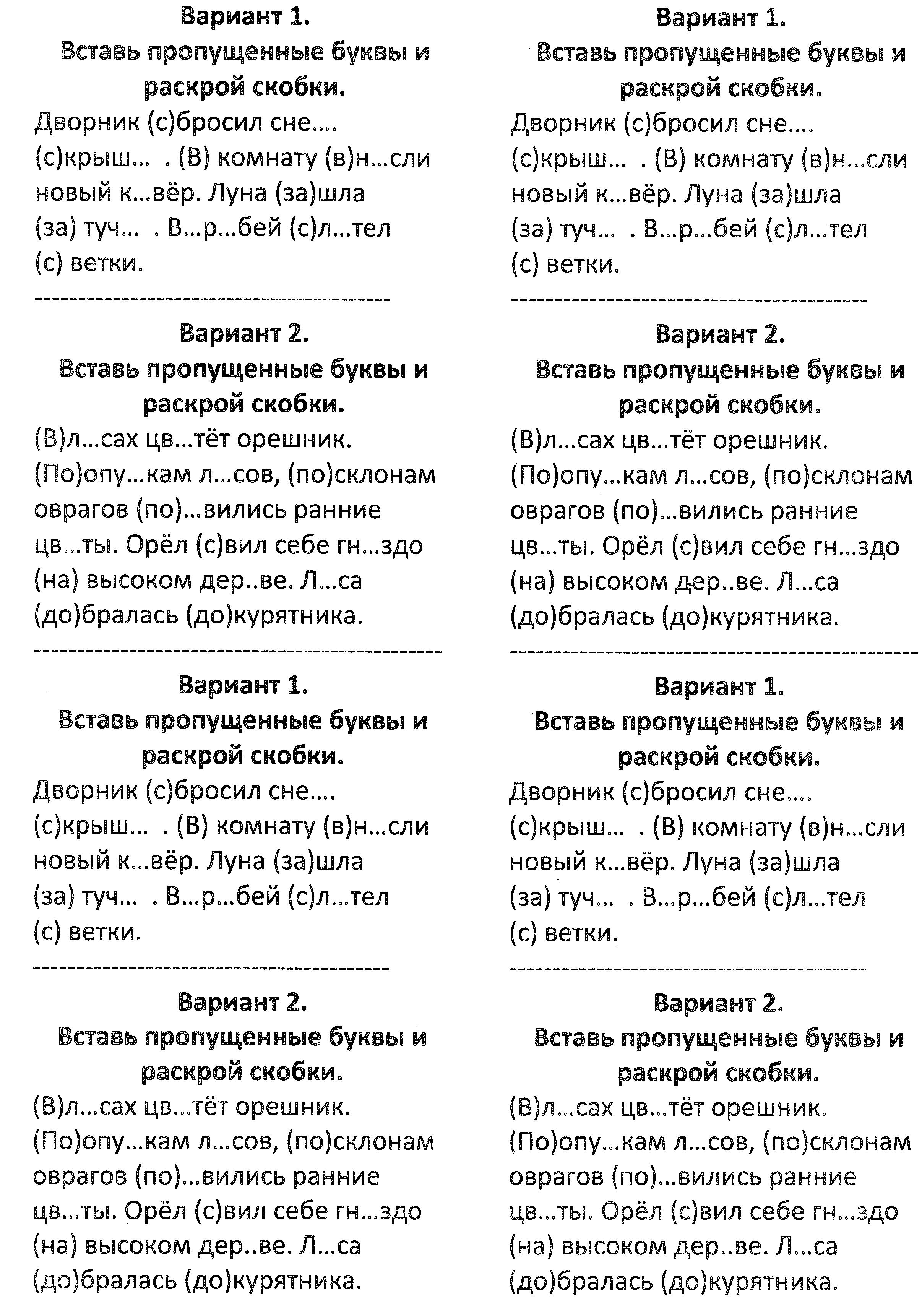 Проверочные работы по русскому языку