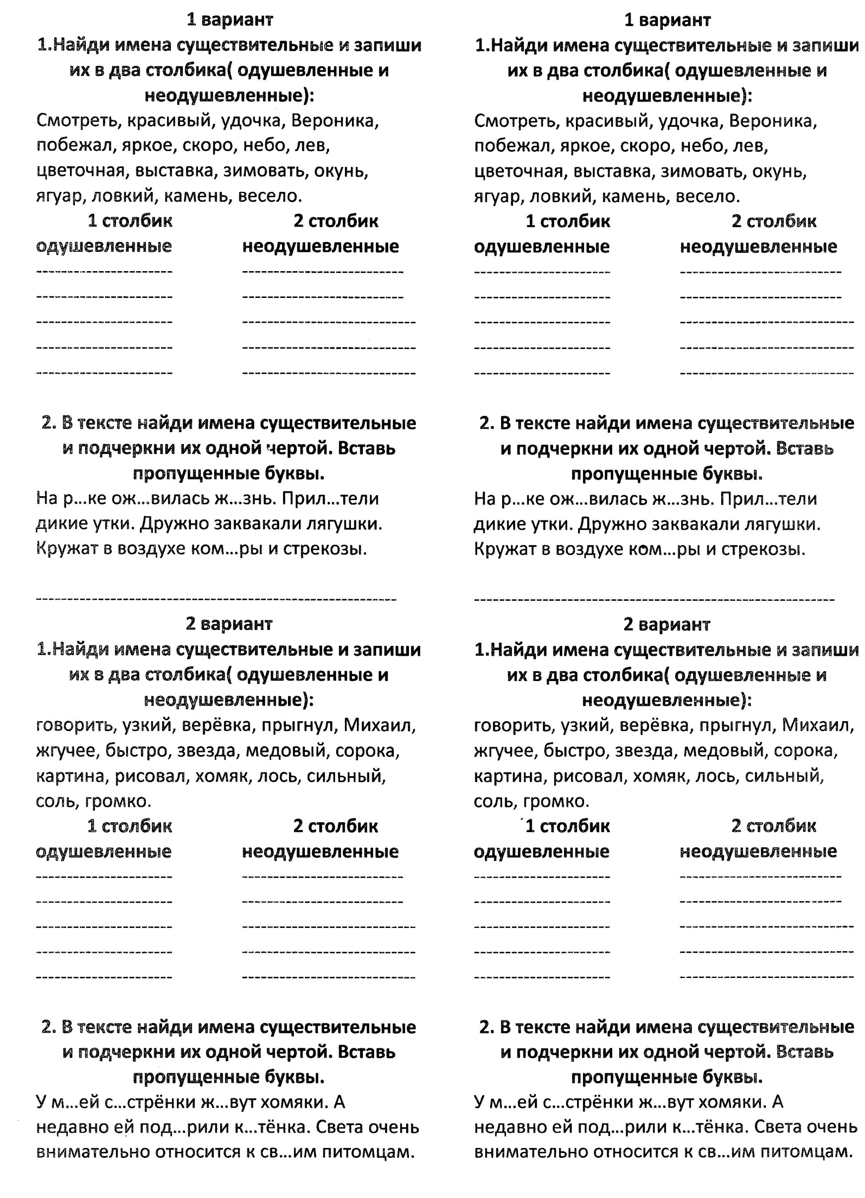 Проверочные работы по русскому языку