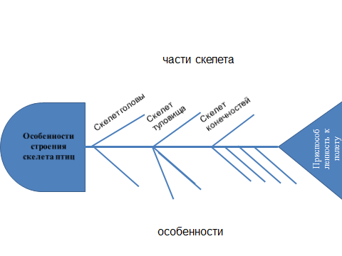 Дорожная карта к уроку Скелет и мускулатура птиц