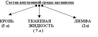 Разработка урока по биологии в 8 классе