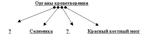 Разработка урока по биологии в 8 классе