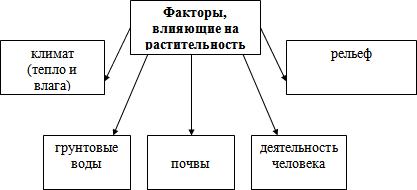 Фитоценоз - растительные сообщества, занятие к программе Охрана природы