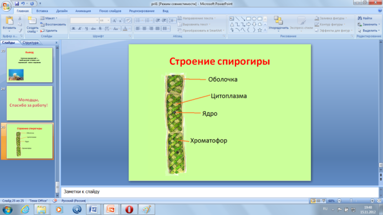 Урок водоросли 6 класс