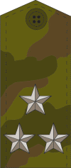 Методическая разработка: Военно-патриотическая игра Зарница