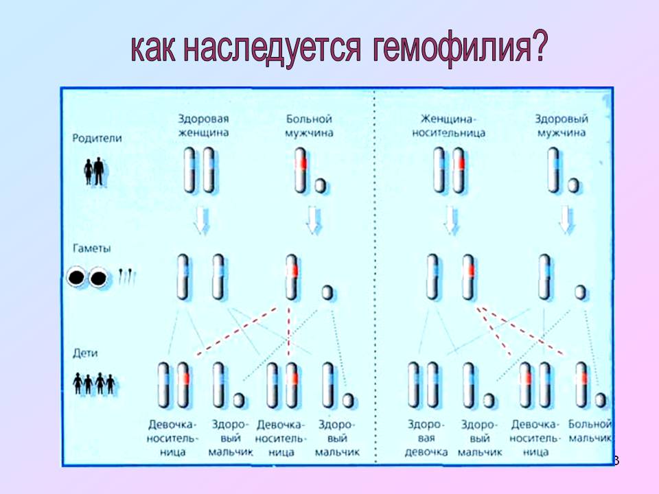 Методические рекомендации по проведению лабораторных работ и практических занятий по биологии