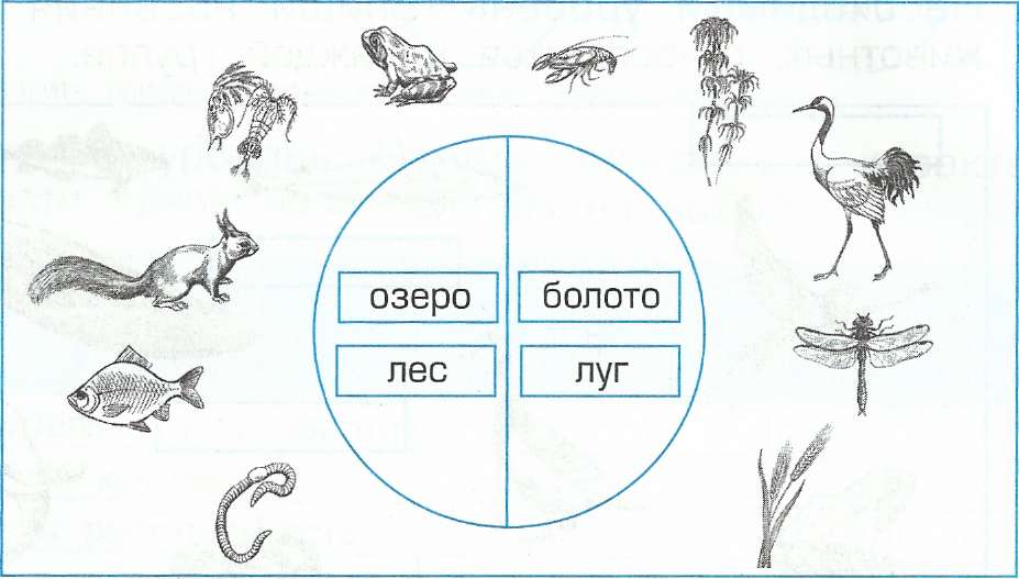 Рабочая программа по окружающему миру для 3 класса.