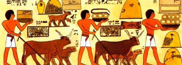 Урок по истории Древнего мира на ему Жизнь в Древнем Египте (5 класс)