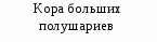 Конспект урока биологии в 8 классе на тему Дыхательные движения. Регуляция дыхания.