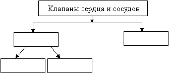 План урока по биологии Строение и работа сердца (8 класс)