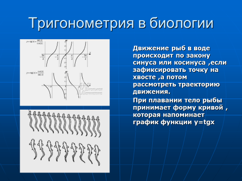 Урок алгебры в 10 классе Тригонометрические функции и тождества