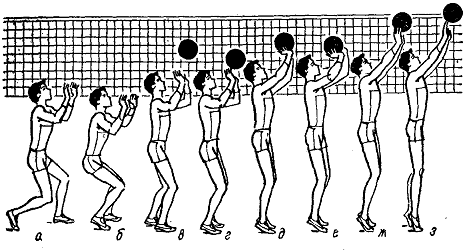 Методические рекомендации Спортивные игры. Волейбол.