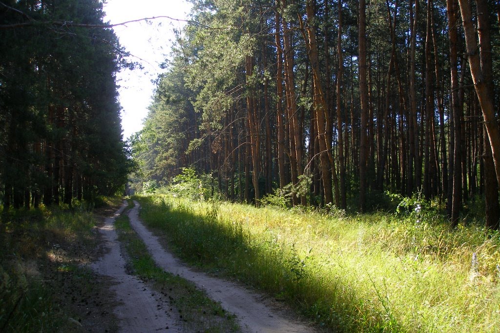 Внеклассное мероприятие на тему Лесные массивы Луганщины