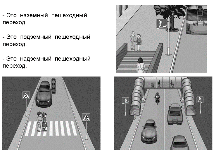Тест: Правила дорожного движения