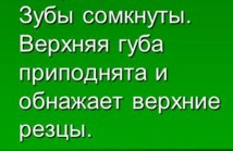 Планирование развитие речи. Артикуляционные упражнения.