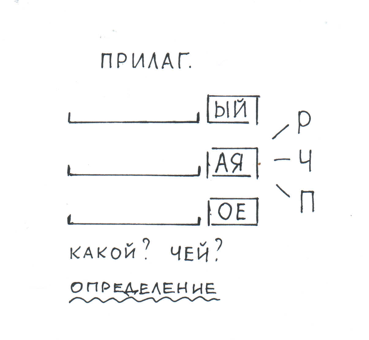 Урок русского языка Полные и краткие прилагательные (5 класс) ФГОС.