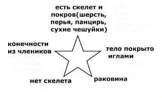 Конспект урока по окружающему миру на тему Разнообразие животных (3 класс)