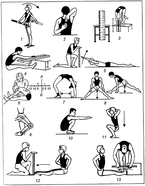Проект Развитие гибкости на уроках гимнастики