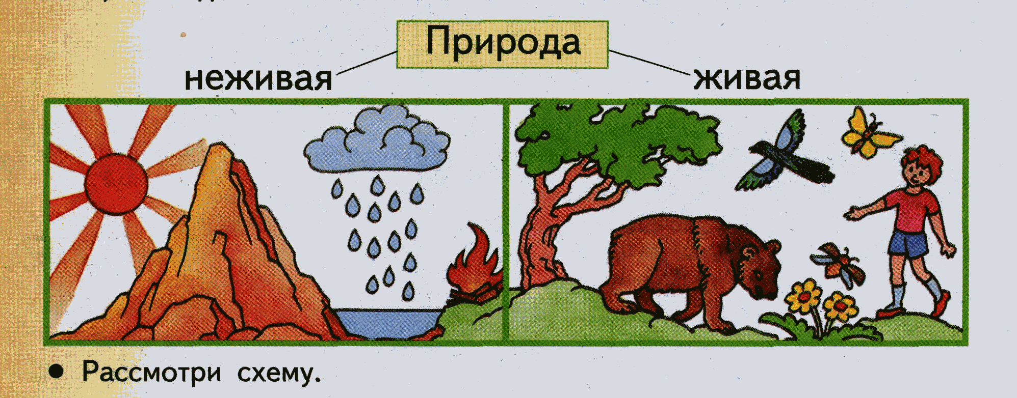 Конспект урока по познанию мира на тему Обобщение по теме Окружающий мир