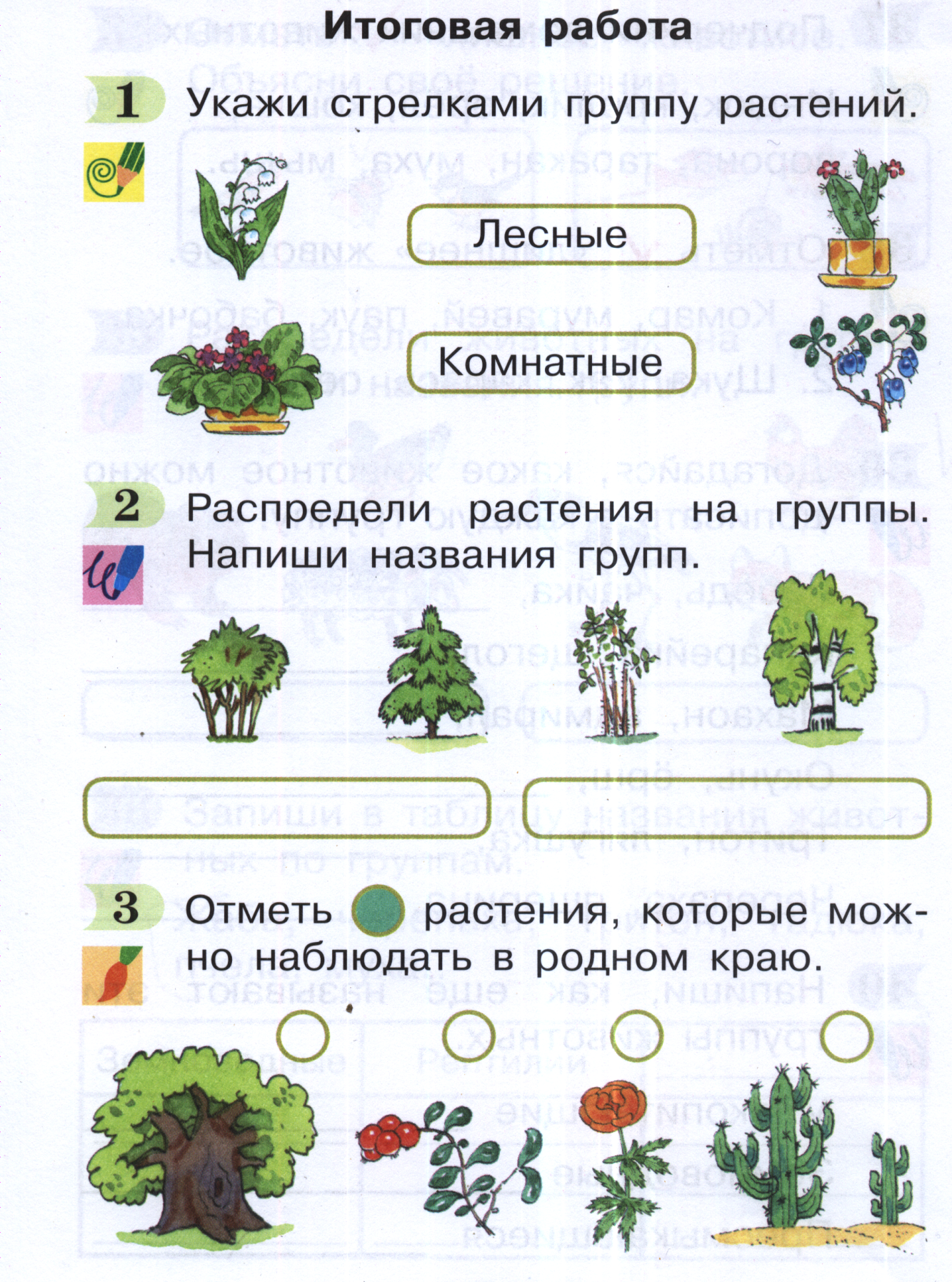 Окружающий мир 3 контрольные работы 2 четверть