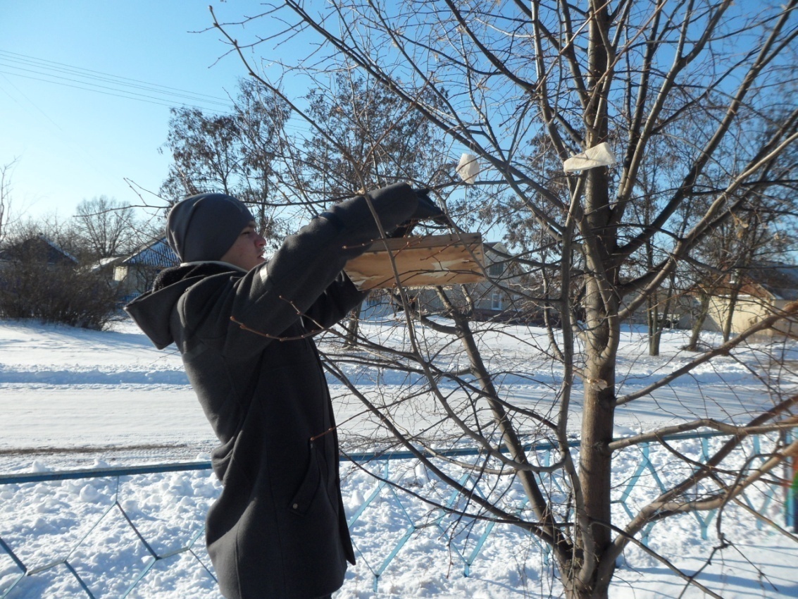 Методические рекомендации по организации зимней подкормки птиц