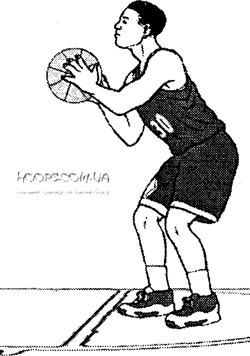 Изучение ведения баскетбольного мяча с последующим броском по кольцу, выполнение двух шагов с места и в движении.