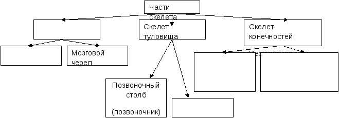 Методический сборник по теме Системно - деятельностный подход на уроках биологии