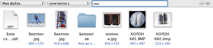 Раздаточный материал по теме Поиск и архивация файлов в ОС Mac OS (8 класс)