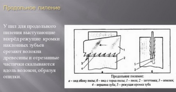 Швидкий Алексей Алексеевич Урок по технологии Приемы пиления