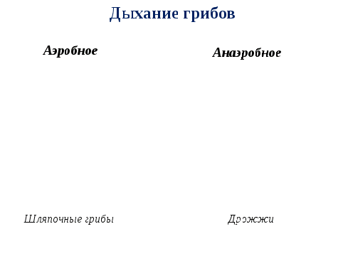 План-конспект модульного урока по биологии для 6 класса Питание бактерий и грибов. Дыхание растений, бактерий и грибов. Дыхание и кровообращение у животных. Транспорт веществ. Выделение. Обмен веществ