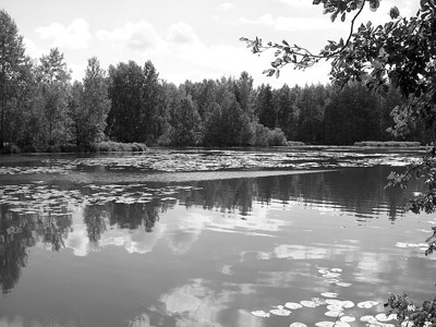 «Составление алгоритма классификации природных водоемов – реки, моря, озера».