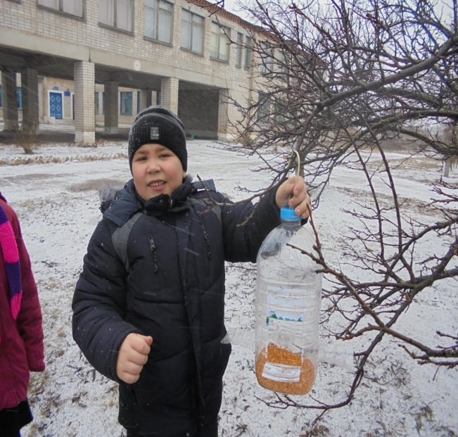 Буклет Птицы в городе