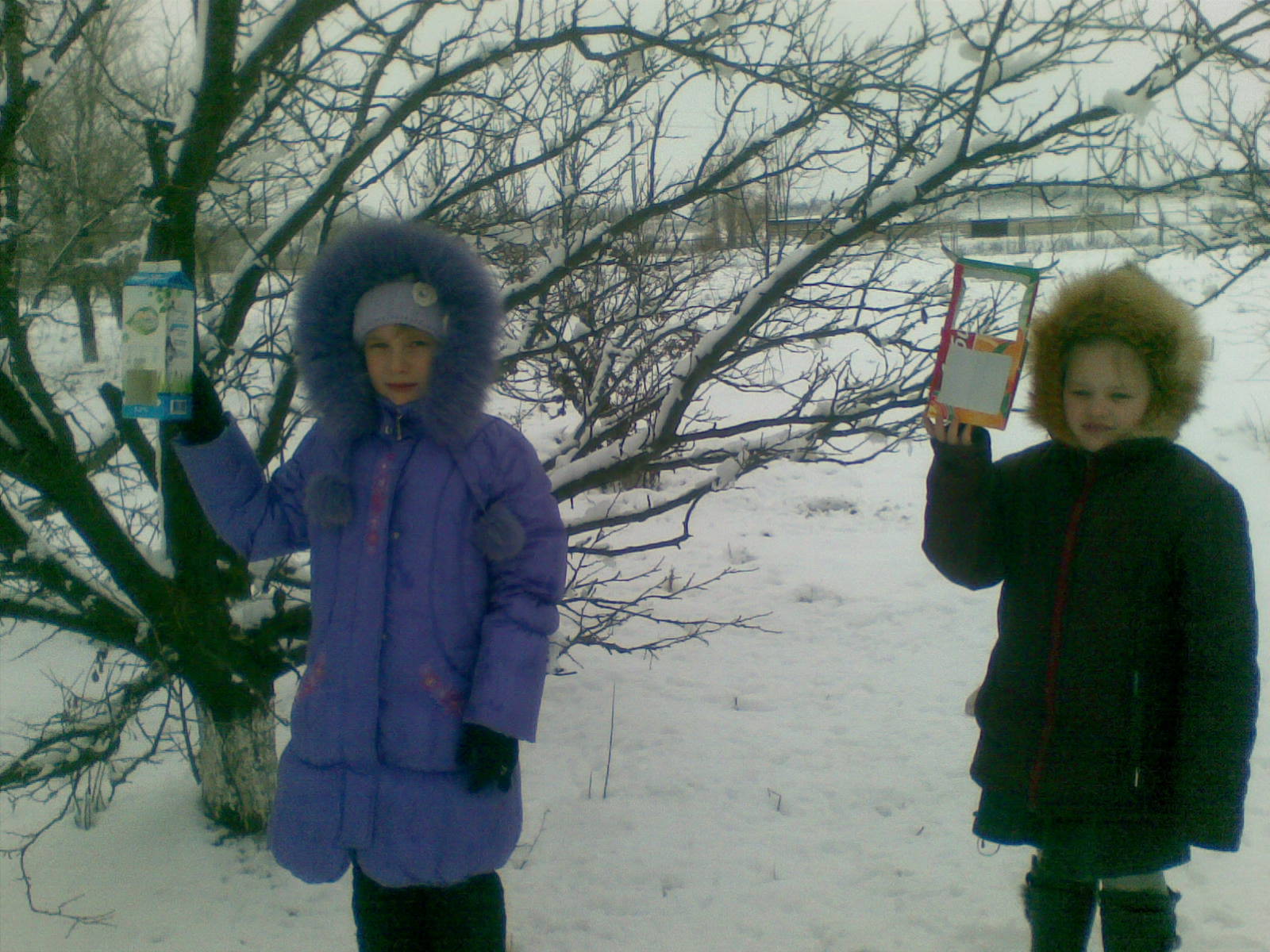 Буклет Птицы в городе