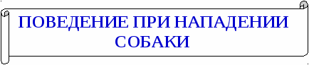 ПАМЯТКА О БЕЗОПАСНОМ ПОВЕДЕНИИ ДЛЯ ШКОЛЬНИКОВ