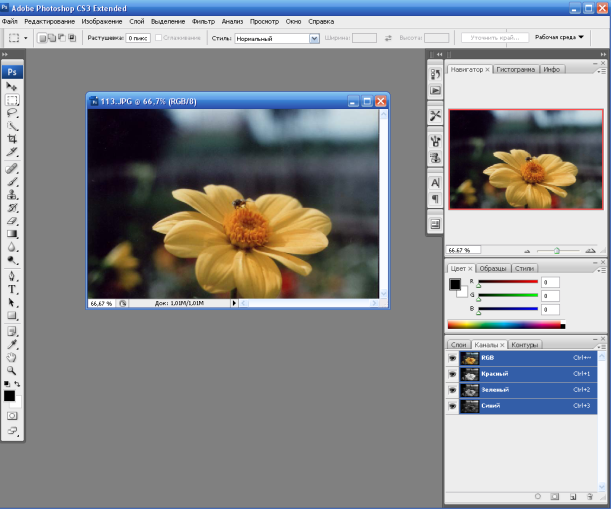 Изучение панели инструментов программы Adobe Photoshop