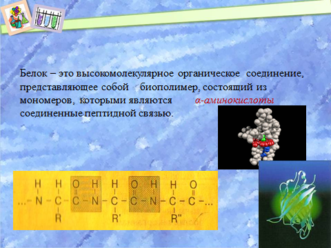 Методическая разработка урока по теме Белки строение, свойства, биологическая роль