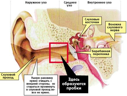 Технологическая карта занятия по валеологии в старшей группе Полезные и вредные привычки.