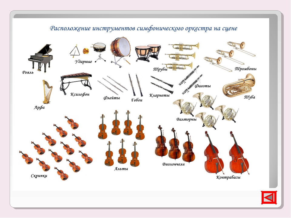 Музыкальные инструменты симфонического оркестра картинки