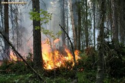 Пособие по математике на тему устойчивого развития (на украинском языке)