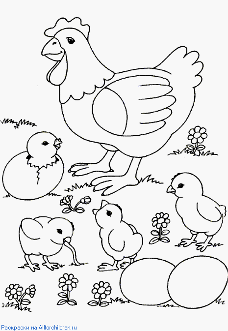 План-конспект интегрированного урока по развитию речи на тему Домашние птицы (предшкольный класс)