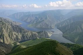 Сценарий викторины Круглый стол юных орнитологов