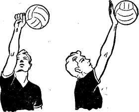 Конспект урока по волейболу на тему: Техника нападающего удара (7 класс)