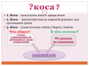 Урок русского языка на тему Слова-омонимы (2 класс)