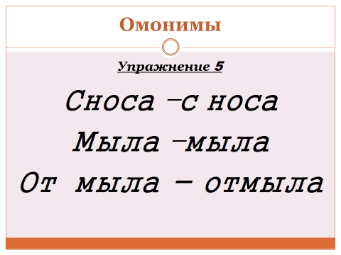 Омонимы слова парами