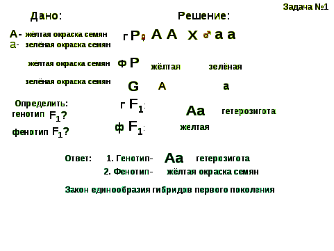 Конспект урока по биологии на тему Моногибридное скрещивание (9- 10 классы).