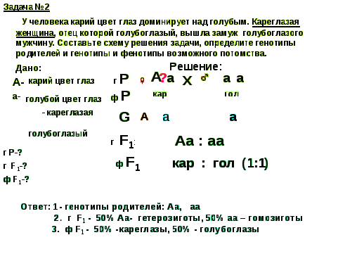 Конспект урока по биологии на тему Моногибридное скрещивание (9- 10 классы).