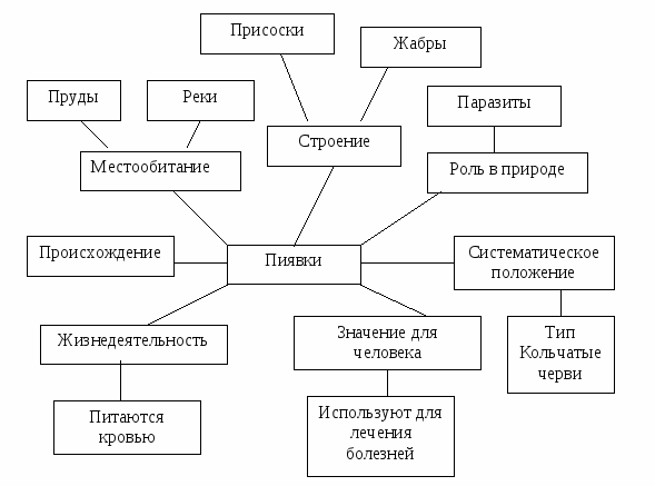 Фрагмент урока с элементами зигзаг в 6классе по теме Дыхание растений