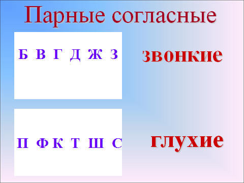 Урок русского языка в 5 классе