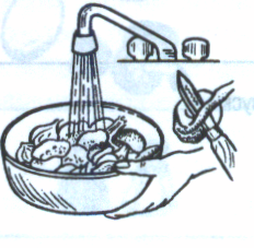 Методическая разработка учебного занятия по МДК 01.01 «Технология обработки сырья и приготовления блюд из овощей и грибов»